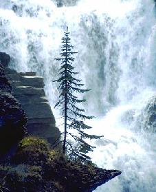 Waterfall